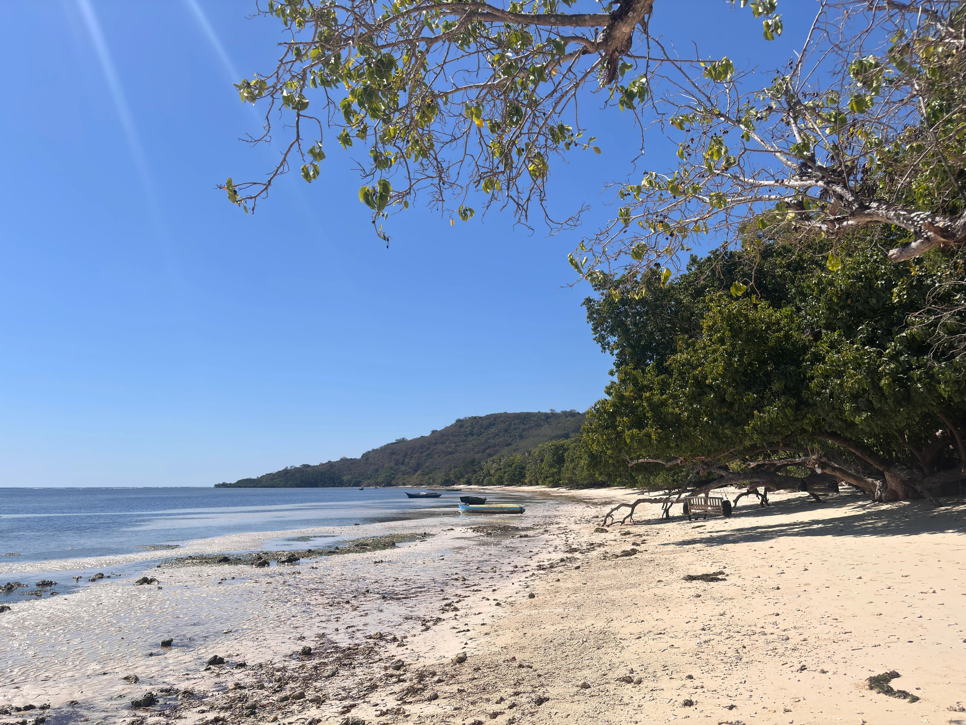 Canary Beach