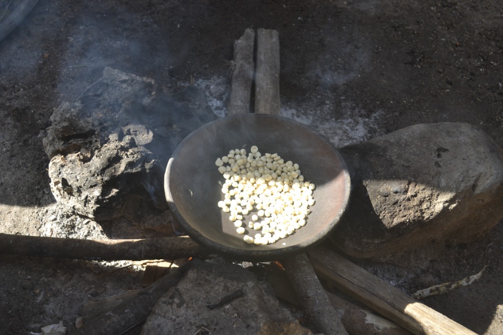 Proses Meniti Jagung